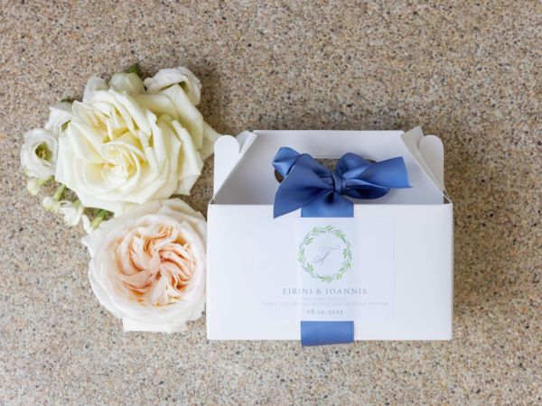 irene-yianniswedding6941481B7-13DA-49E7-F959-2E9C978AED05.jpg